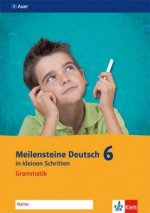 Meilensteine Deutsch in kleinen Schritten 6. Grammatik. Arbeitsheft Klasse 6. Ausgabe ab 2016