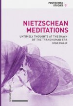 Nietzschean Meditations (hardcover)