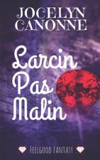 Larcin Pas Malin
