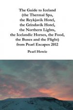 Guide to Iceland (the Thermal Spa, the Reykjavik Hotel, the Grindavik Hotel, the Northern Lights, the Icelandic Horses, the Food, the Buses and the Fl