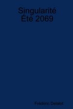 Singularite Ete 2069