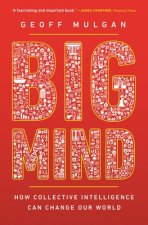Big Mind