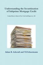 Understanding the Securitization of Subprime Mortgage Credit: Federal Reserve Bank of New York Staff Report no. 318