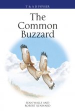 Common Buzzard