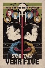 Star Trek: Year Five - Odyssey's End