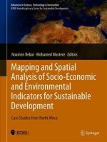Mapping and Spatial Analysis of Socio-economic and Environmental Indicators for Sustainable Development