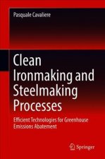 Clean Ironmaking and Steelmaking Processes
