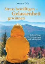 Stress bewaltigen - Gelassenheit gewinnen