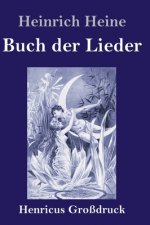Buch der Lieder (Grossdruck)