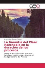 La Garantía del Plazo Razonable en la duración de los procesos