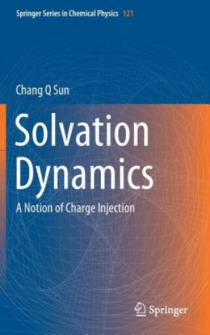 Solvation Dynamics