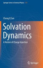 Solvation Dynamics