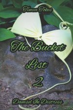 The Bucket List 2 - Damsel in Distress: A Short Erotic Story (Straight)