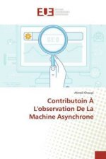 Contributoin ? L'observation De La Machine Asynchrone