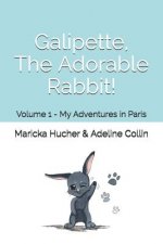 Galipette, The Adorable Rabbit