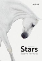 Stars: Equine Portraits