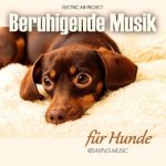 Beruhigende Musik für Hunde (Entspannung für Ihr Haustier)