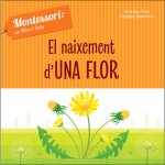 EL NAIXEMENT D'UNHA FLOR