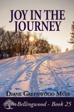 Joy in the Journey
