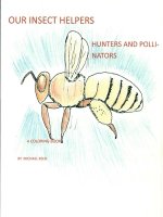 Our Insect Helpers: Hunters and Pollinators