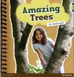Bug Club Green A Amazing Trees 6-pack