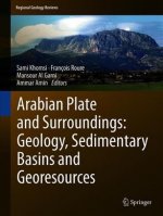 Arabian Plate and Surroundings:  Geology, Sedimentary Basins and Georesources
