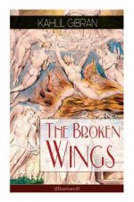 Broken Wings (Illustrated)