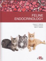 FELINE ENDOCRINOLOGY