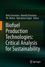 Biofuel Production Technologies: Critical Analysis for Sustainability