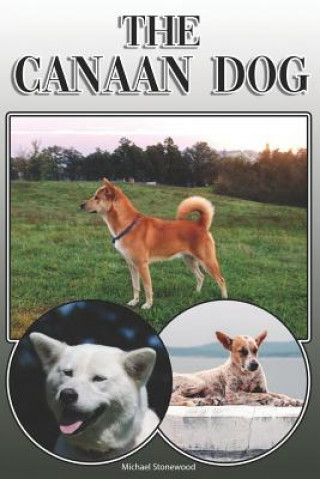 The Canaan Dog: A Complete and Comprehensive Owners Guide To: Buying, Owning, Health, Grooming, Training, Obedience, Understanding and