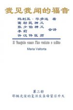 The Gospel As Revealed to Me (Vol 3) - Simplified Chinese Edition: 我见我闻的福音（第三