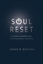 Soul Reset