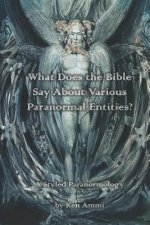 What Does the Bible Say About Various Paranormal Entities?