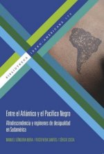 Entre el Atlántico y el Pacífico Negro. Afrodescendencia y regímenes de desigualdad en Sudamérica