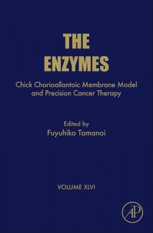 Chick Chorioallantoic Membrane Model and Precision Cancer Therapy