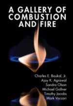 Gallery of Combustion and Fire
