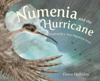 Numenia and the Hurricane: Inspired by a True Migration Story