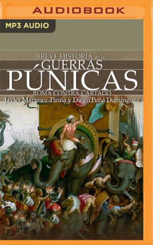 Breve Historia de Las Guerras Púnicas