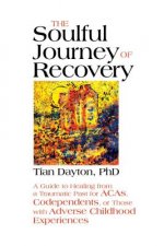 Soulful Journey of Recovery