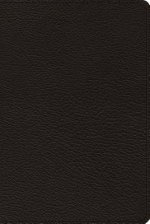 ESV Bible with Creeds and Confessions