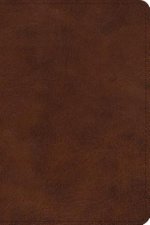 ESV Large Print Bible