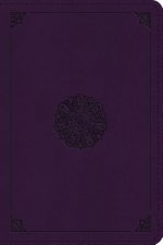 ESV Large Print Bible