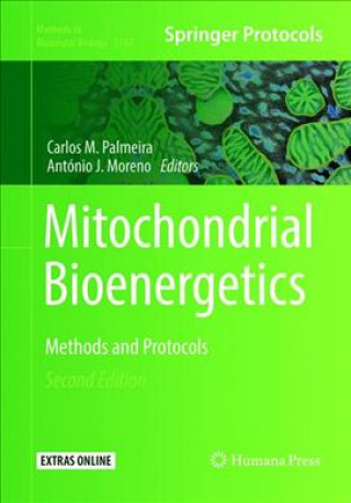Mitochondrial Bioenergetics