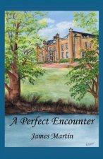 Perfect Encounter
