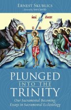 Plunged Into the Trinity
