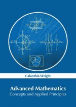 Advanced Mathematics: Concepts and Applied Principles
