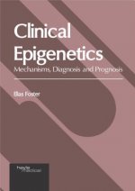 Clinical Epigenetics: Mechanisms, Diagnosis and Prognosis