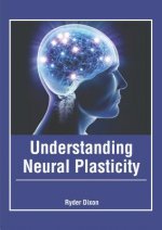 Understanding Neural Plasticity