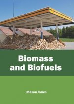 Biomass and Biofuels