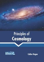 Principles of Cosmology
